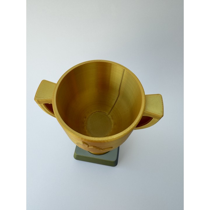 Puchar - trofeum (16 cm)