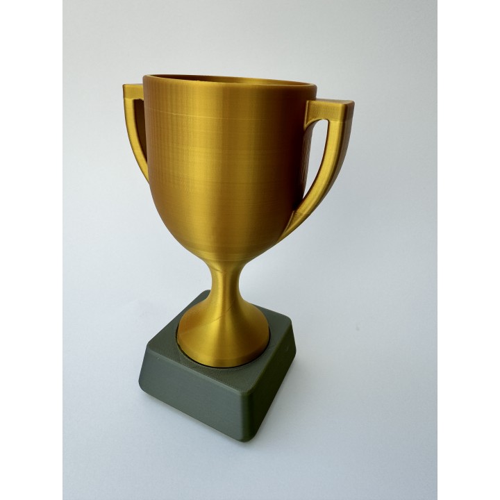 Puchar - trofeum (16 cm)