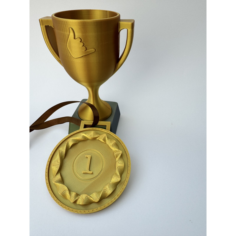 PUCHAR+ MEDAL ZŁOTO