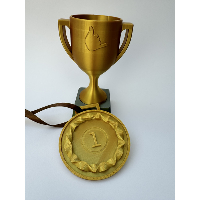 PUCHAR+ MEDAL ZŁOTO