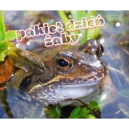 Dzień Żaby - pakiet PDF