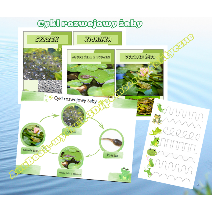 Dzień Żaby - pakiet PDF