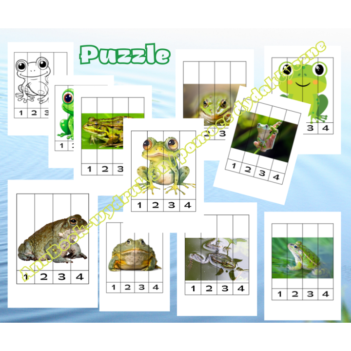 Dzień Żaby - pakiet PDF