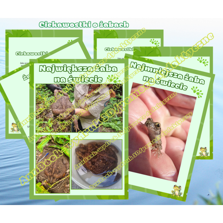 Dzień Żaby - pakiet PDF