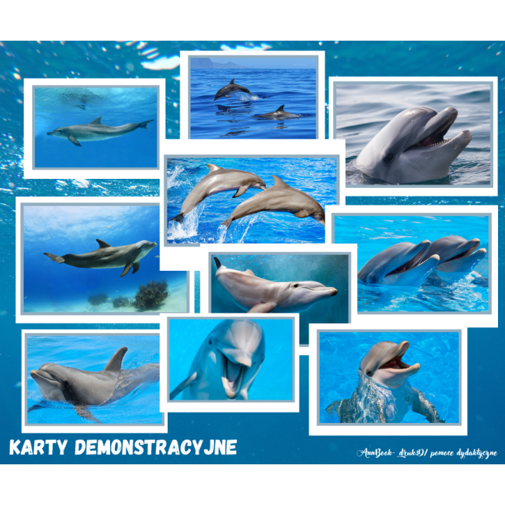 Dzień Delfina - pakiet PDF