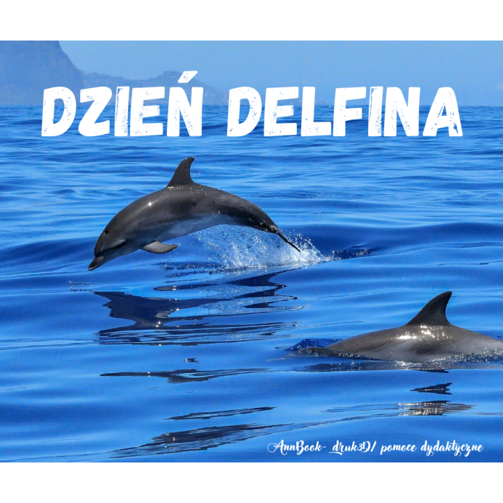 Dzień Delfina - pakiet PDF