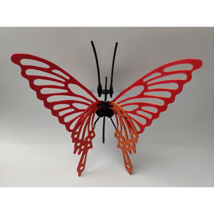 Motyl - model edukacyjny do złożenia