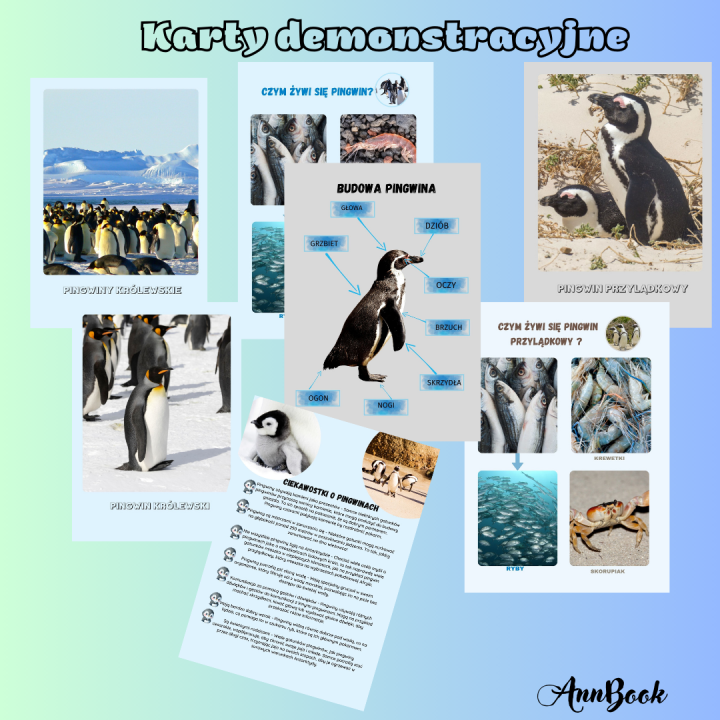 Dzień Pingwina - pakiet PDF