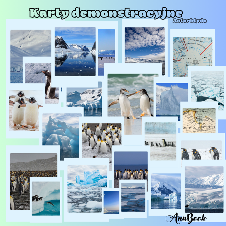 Dzień Pingwina - pakiet PDF