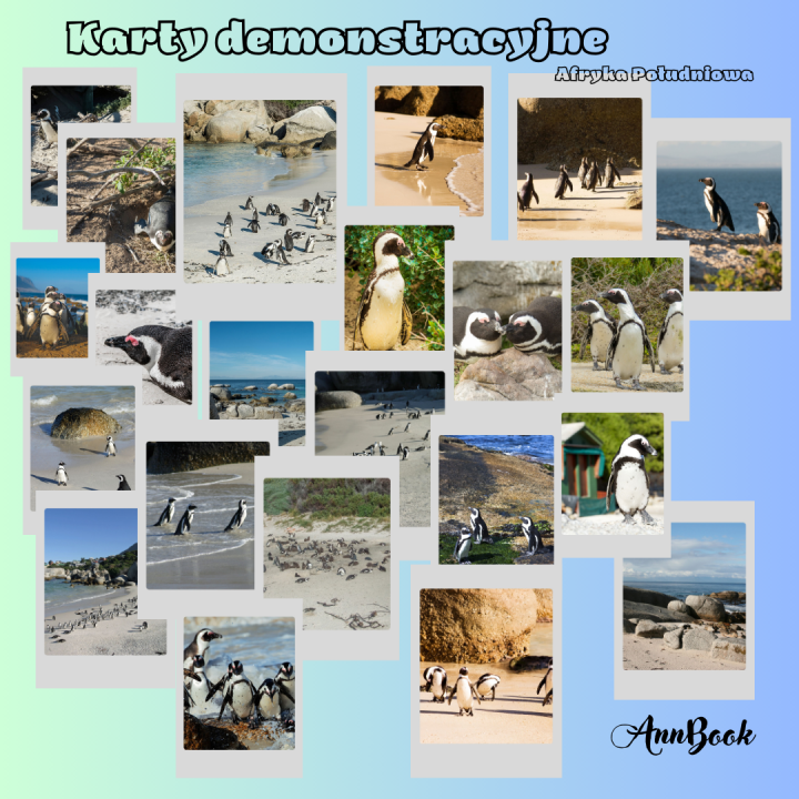 Dzień Pingwina - pakiet PDF