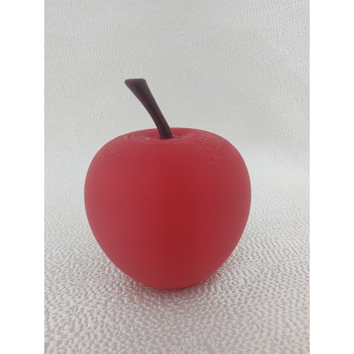 Jabłko bez listka - model owocu (1 szt.)