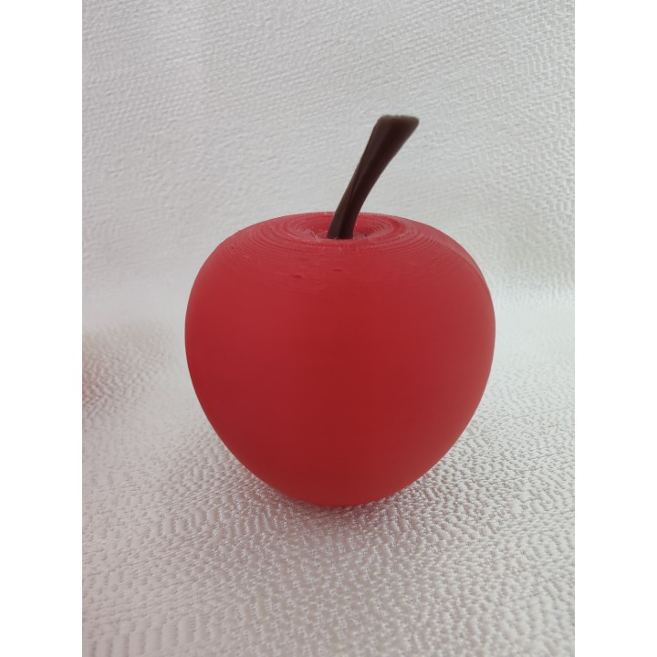 Jabłko bez listka - model owocu (1 szt.)