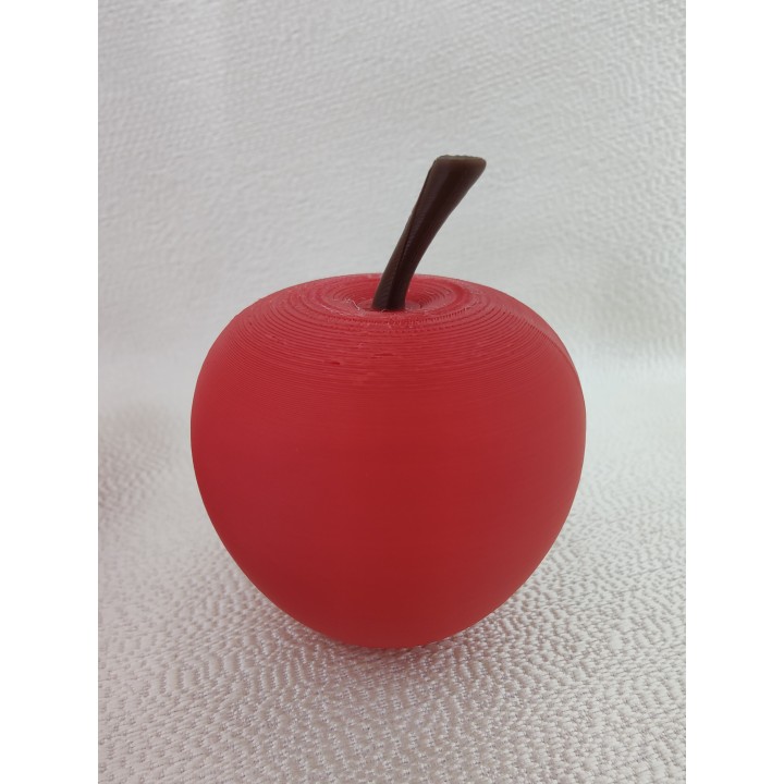 Jabłko bez listka - model owocu (1 szt.)