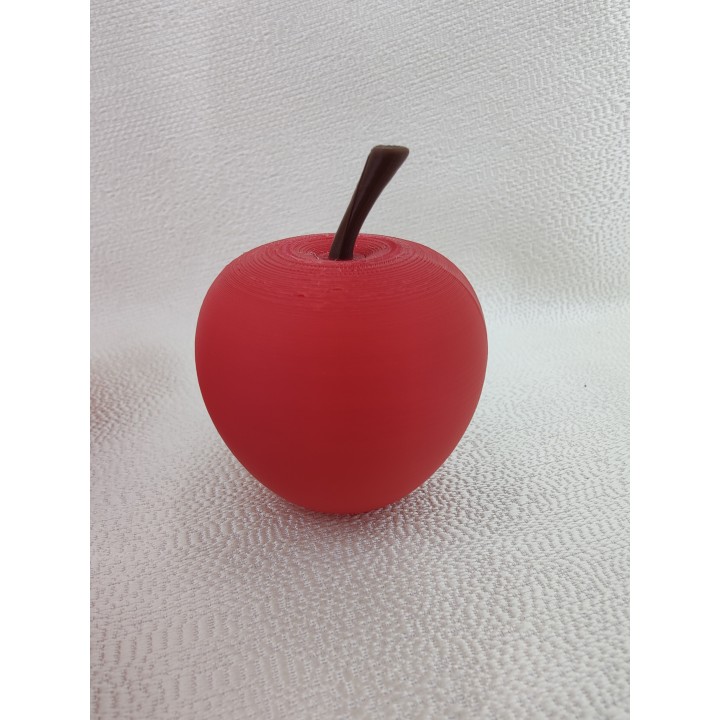Jabłko bez listka - model owocu (1 szt.)