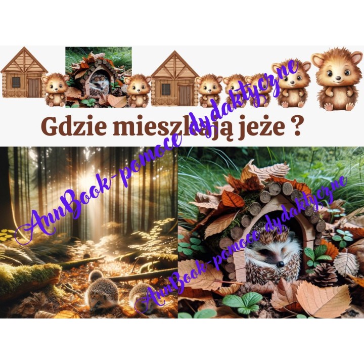 Dzień Jeża - pakiet PDF