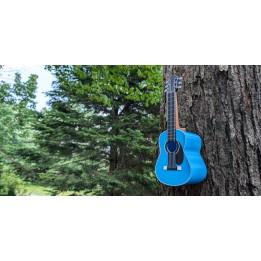 Gitara - domek dla ptaków