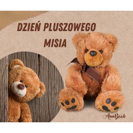 Dzień Misia - pakiet PDF