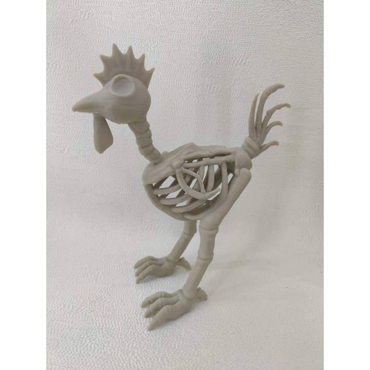 Szkielet kurczaka - model
