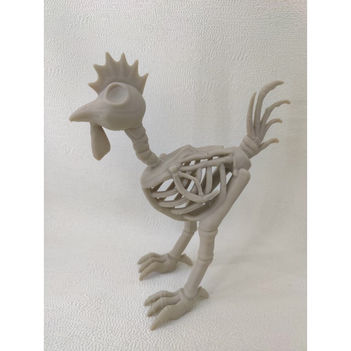 Szkielet kurczaka - model