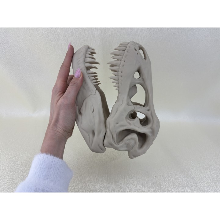 Czaszka T-Rexa XXL - model