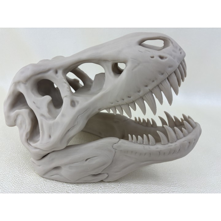 Czaszka T-Rexa XXL - model