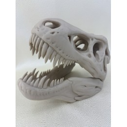 Czaszka T-Rexa XXL - model