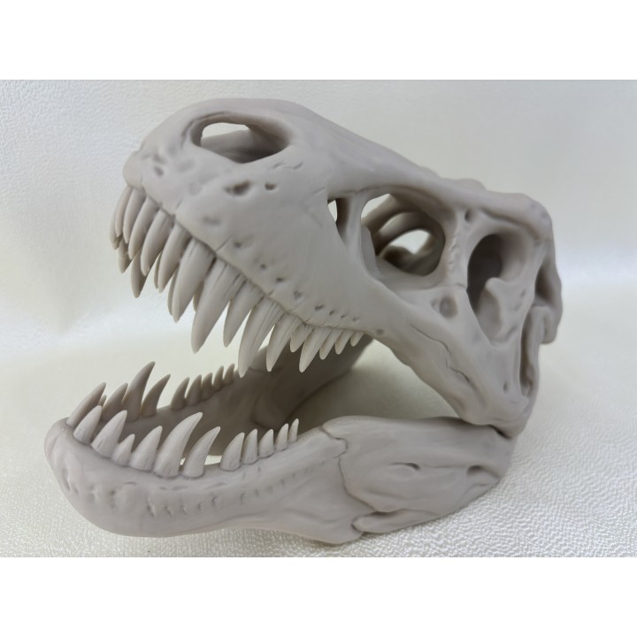 Czaszka T-Rexa XXL - model