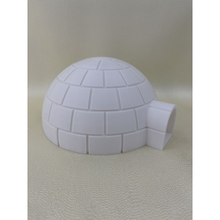 Iglo - model (Projekt Arktyka)