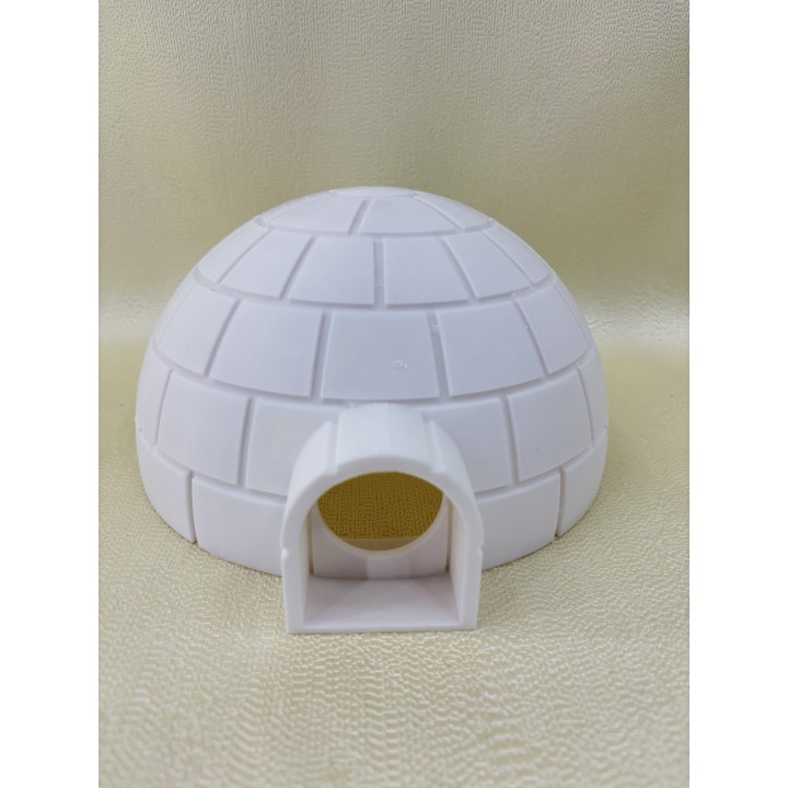 Iglo - model (Projekt Arktyka)