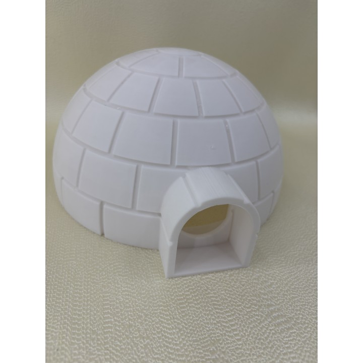 Iglo - model (Projekt Arktyka)