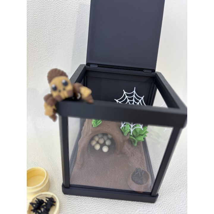Pająk Tarantos - zestaw terrarium z wyposażeniem
