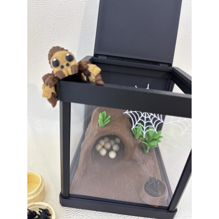 Pająk Tarantos - zestaw terrarium z wyposażeniem