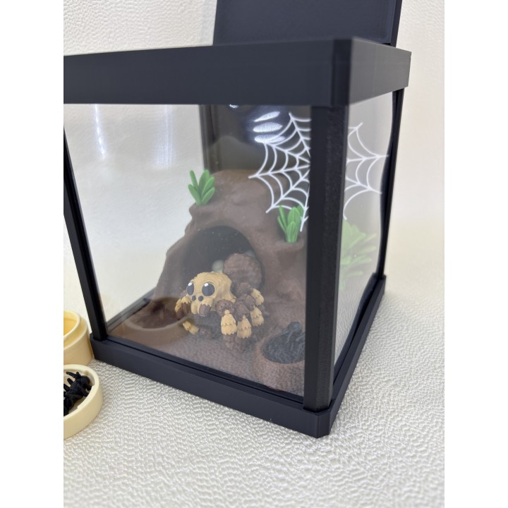 Pająk Tarantos - zestaw terrarium z wyposażeniem
