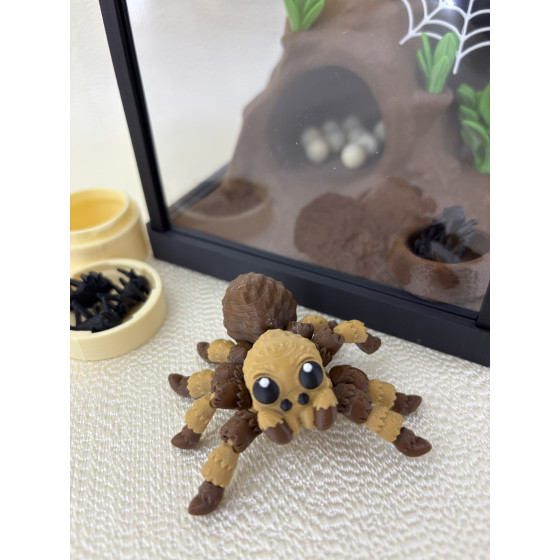 Terrarium z pająkiem Tarantosem + wyposażenie