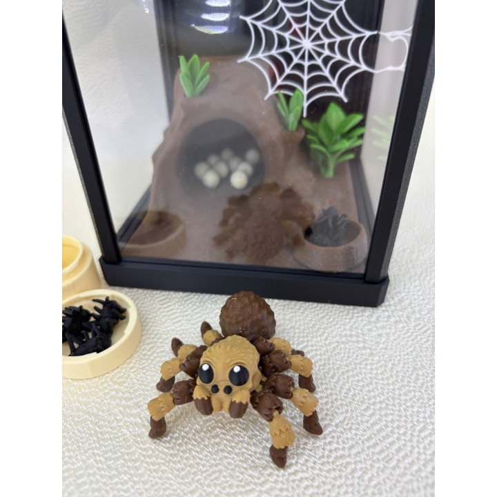 Pająk Tarantos - zestaw terrarium z wyposażeniem