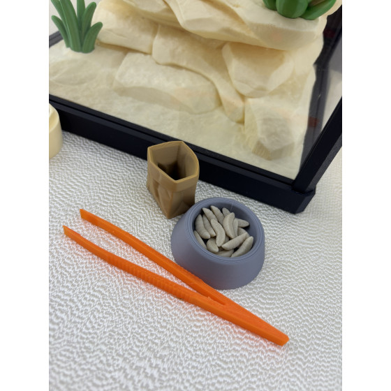 Zestaw Terrarium z jaszczurką LULU 100%  + wyposażenie