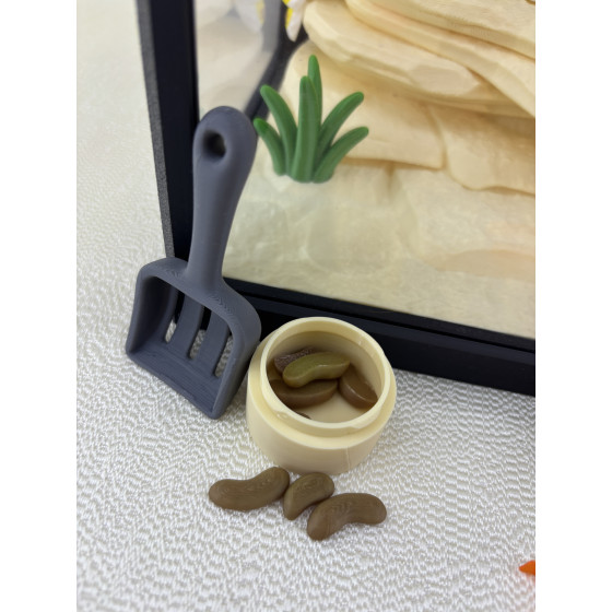 Zestaw Terrarium z jaszczurką LULU 100%  + wyposażenie