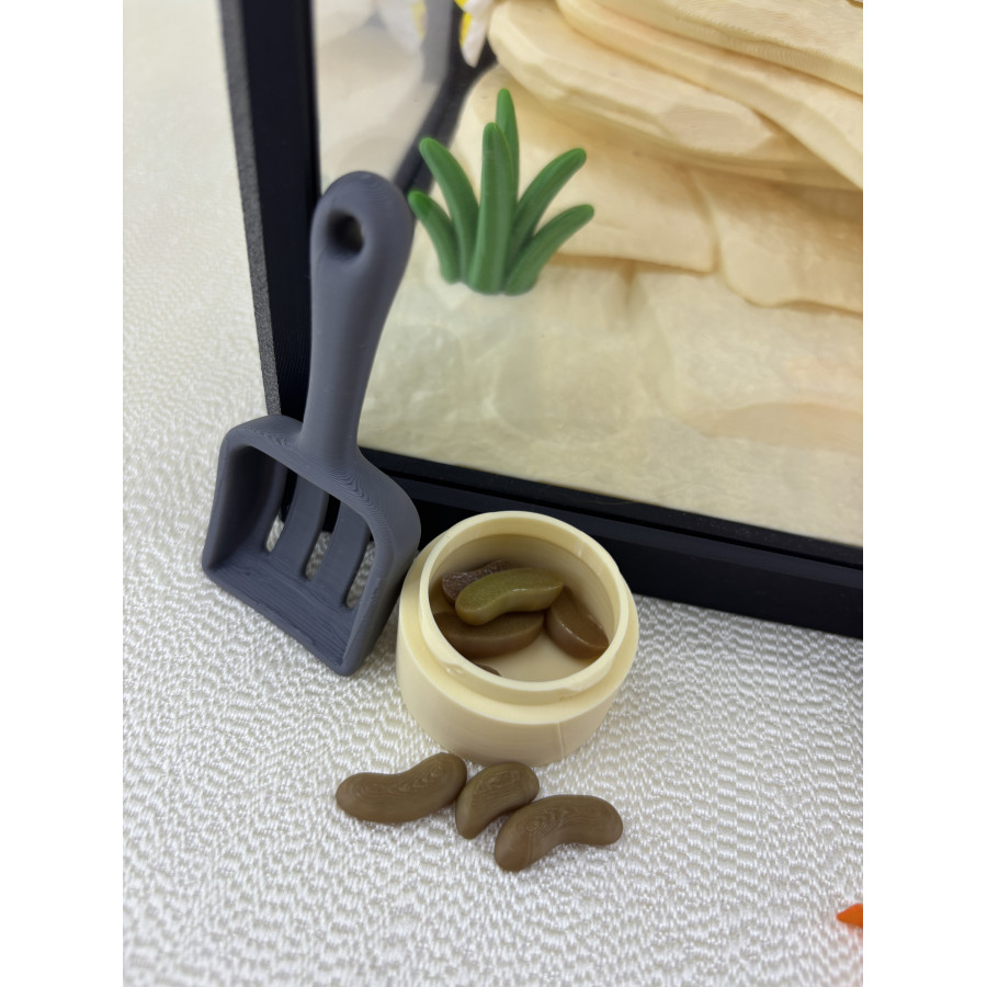 Zestaw Terrarium z jaszczurką LULU 100%  + wyposażenie