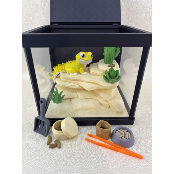 Zestaw Terrarium z jaszczurką LULU 100%  + wyposażenie