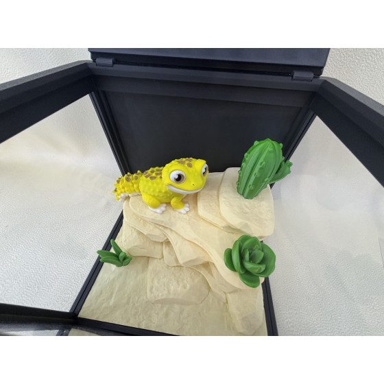Zestaw Terrarium z jaszczurką LULU 100%  + wyposażenie