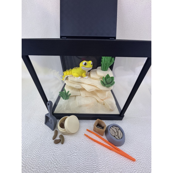 Zestaw Terrarium z jaszczurką LULU 100%  + wyposażenie