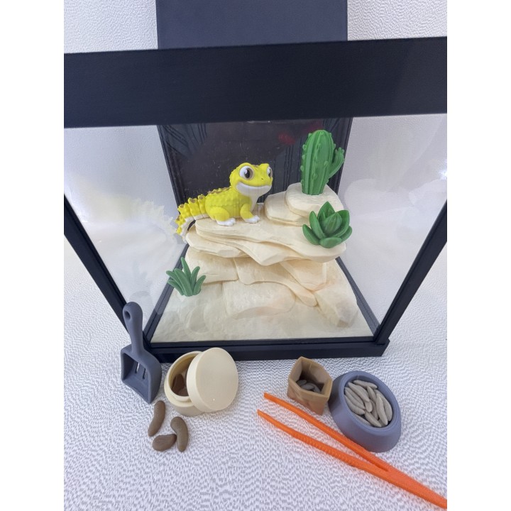 Jaszczurka Lulu - zestaw terrarium z wyposażeniem
