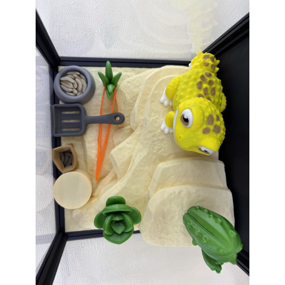 Zestaw Terrarium z jaszczurką LULU 100%  + wyposażenie