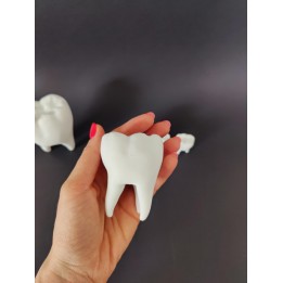 Ząb z ubytkiem do uzupełnienia - model zęba (średni)