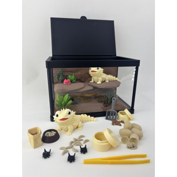 Agamy Tusia i Leo - zestaw terrarium premium