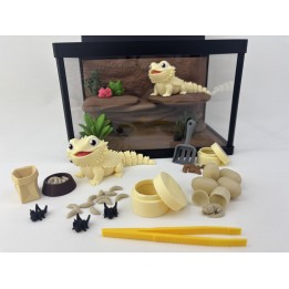 Agamy Tusia i Leo - zestaw terrarium premium