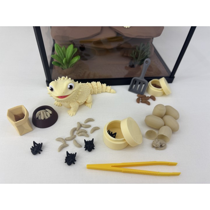Agamy Tusia i Leo - zestaw terrarium premium