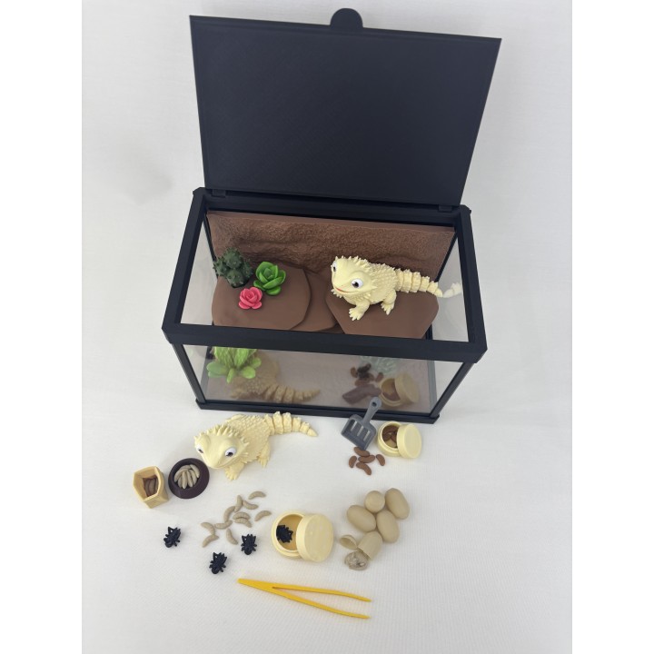 Agamy Tusia i Leo - zestaw terrarium premium