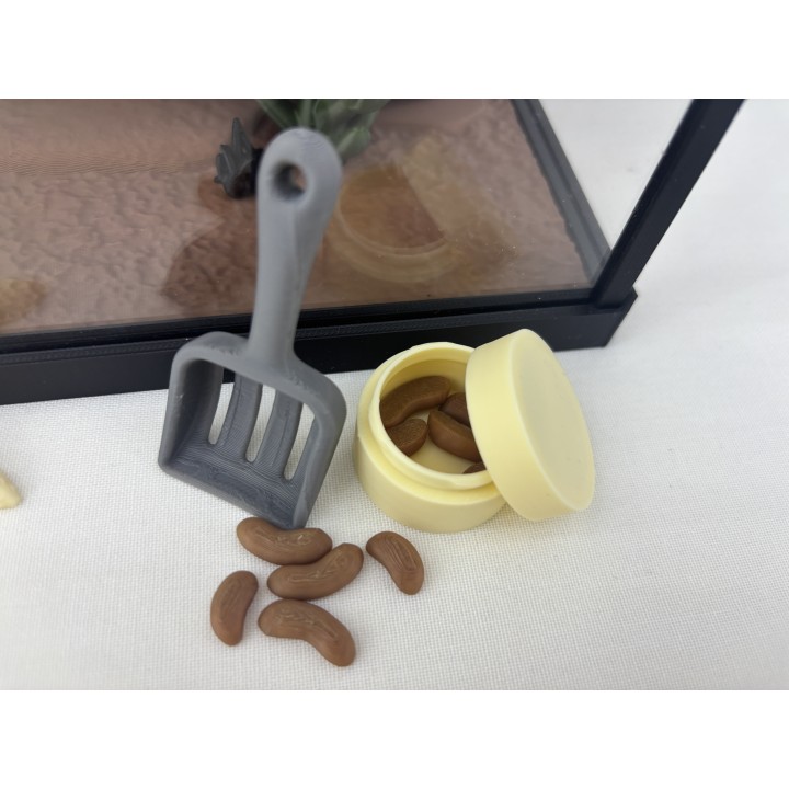 Agamy Tusia i Leo - zestaw terrarium premium