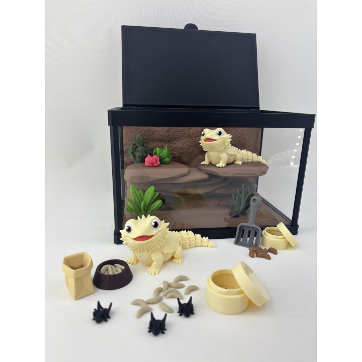 Agamy Tusia i Leo - zestaw terrarium premium